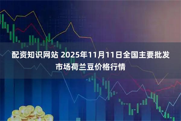 配资知识网站 2025年11月11日全国主要批发市场荷兰豆价格行情